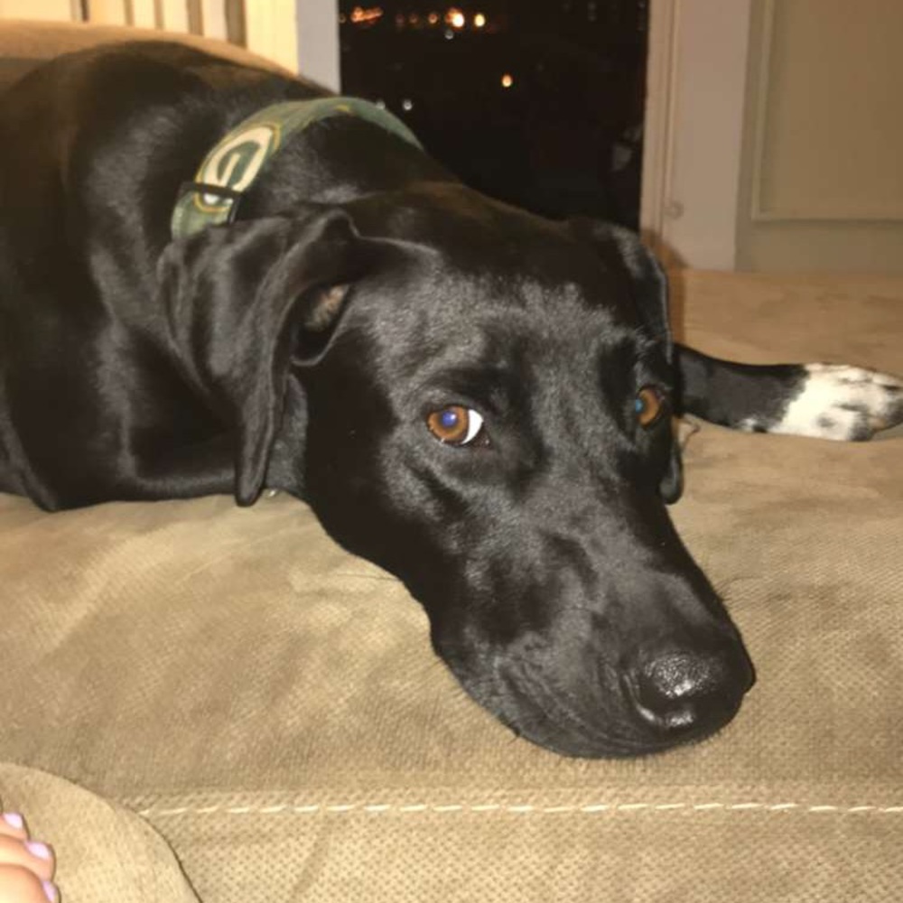 Meet your Posher, Kelly